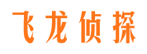 温县市调查公司